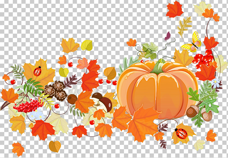 Orange PNG, Clipart, Autumn, Leaf, Natural Foods, Orange, Plant Free PNG Download