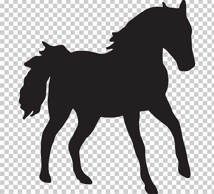 Arabian Horse Stallion Mare Clydesdale Horse Scalable Graphics PNG, Clipart, Arabian Horse, Black And White, Bridle, Clydesdale Horse, Colt Free PNG Download