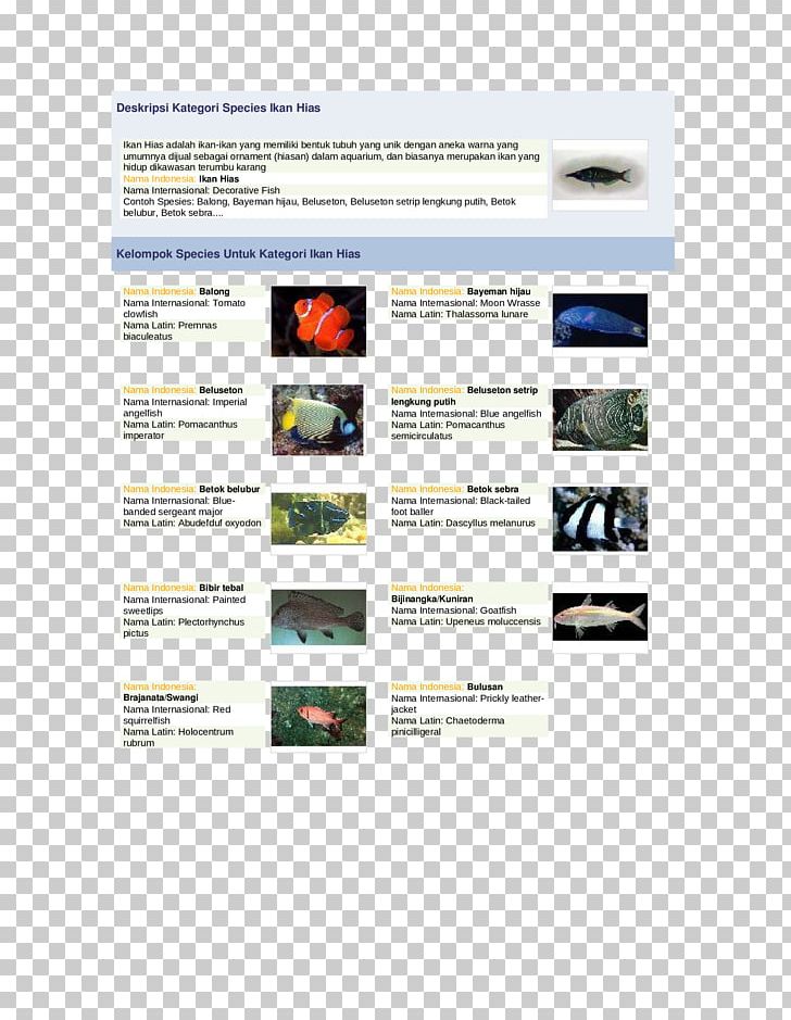 Ornamental Fish Maroon Clownfish Aquarium Species PNG, Clipart, Animals, Aquarium, Coral Reef, Description, Dmca Free PNG Download