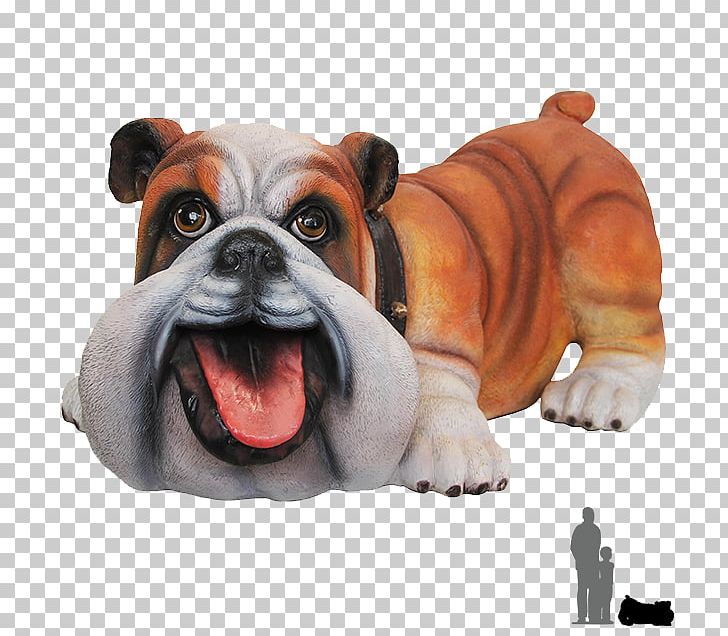 Toy Bulldog Old English Bulldog Olde English Bulldogge Animal PNG, Clipart, Animal, British Bulldogs, Bulldog, Bulldog Breeds, Canidae Free PNG Download