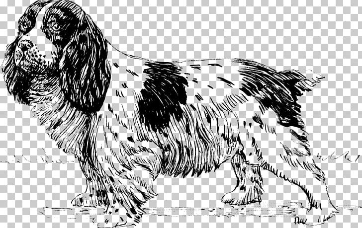 English Setter English Springer Spaniel Sussex Spaniel Russian Spaniel Dog Breed PNG, Clipart, Carnivoran, Dog Breed, Dog Breed Group, Dog Like Mammal, English Setter Free PNG Download