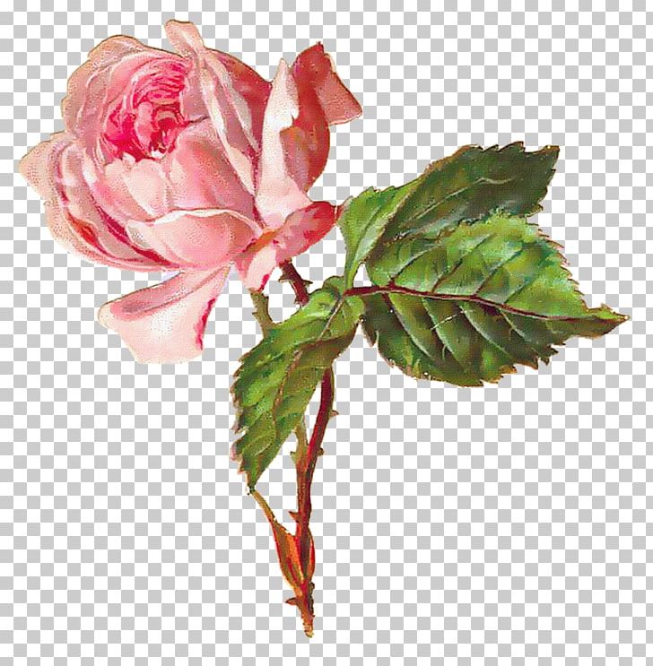 Flower Bouquet PNG, Clipart, Animation, Artificial Flower, Branch, Bud, China Rose Free PNG Download