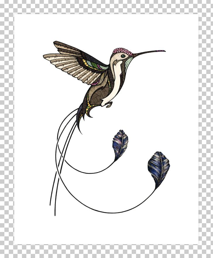 T-shirt Hummingbird Drawing PNG, Clipart, Art, Art Print, Beak, Bird, Clothing Free PNG Download