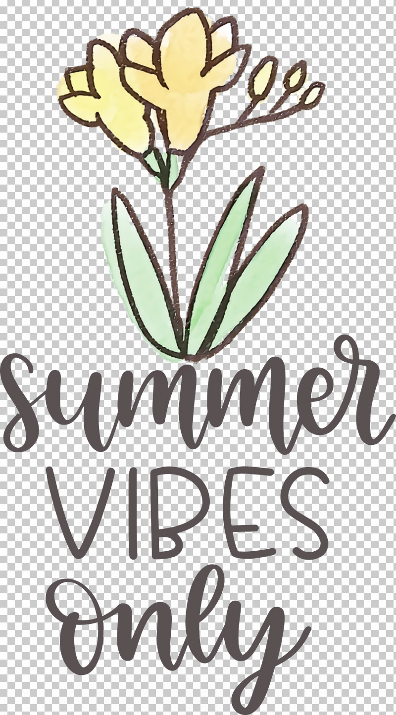 Summer Vibes Only Summer PNG, Clipart, Cut Flowers, Floral Design, Flower, Spring, Summer Free PNG Download