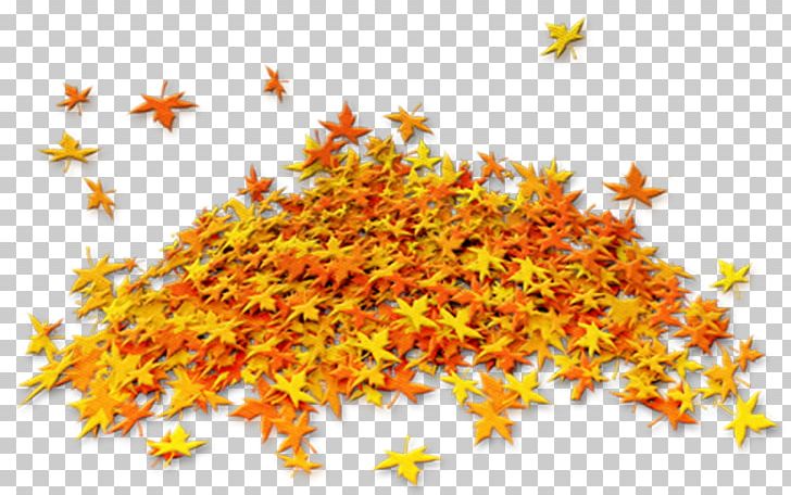Autumn Portable Network Graphics Painting PNG, Clipart, Autumn, Autumn Leaves, Blog, Centerblog, Hit Free PNG Download