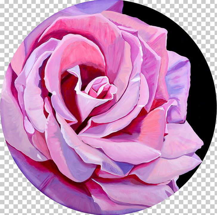 Garden Roses Cabbage Rose Lesson Cut Flowers Art PNG, Clipart, Art, Art Museum, Cut Flowers, Diameter, Flower Free PNG Download