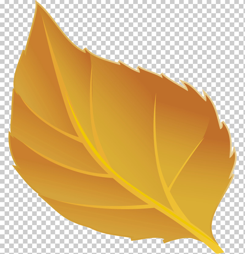 Leaf Yellow Plants Plant Structure Science PNG, Clipart, Biology, Leaf, Plants, Plant Structure, Science Free PNG Download