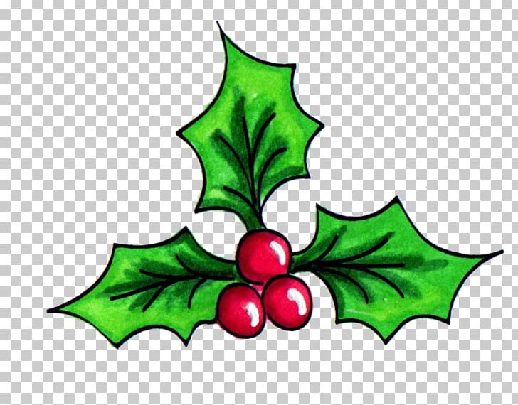 Holly Grapevine Aquifoliales Christmas Ornament PNG, Clipart, Aquifoliaceae, Aquifoliales, Artwork, Branch, Branching Free PNG Download