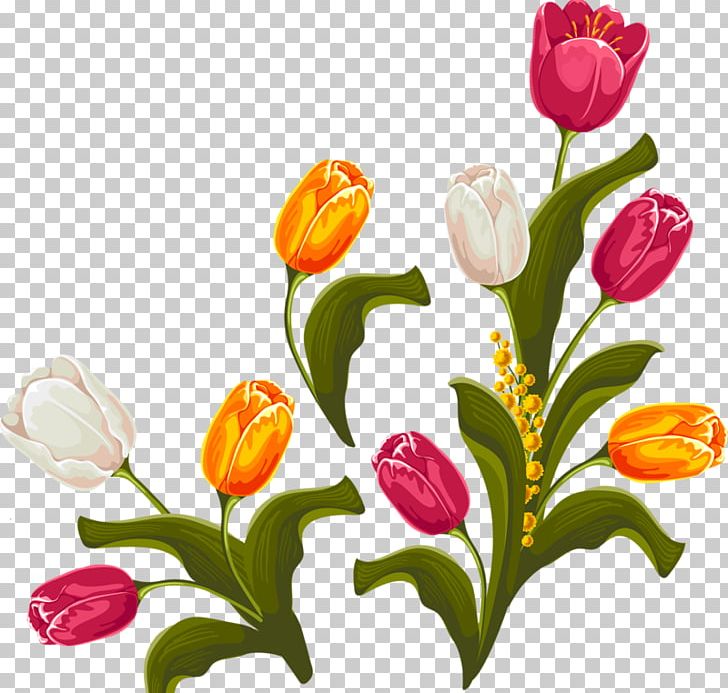 Tulip Floral Design Flower PNG, Clipart, Art, Cut Flowers, Download, Euclidean Vector, Floristry Free PNG Download