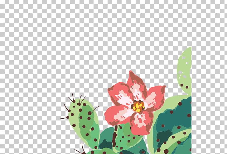 Cactaceae Floral Design PNG, Clipart, Cactus, Cactus Cartoon, Cactus Flower, Cactus Vector, Cactus Watercolor Free PNG Download