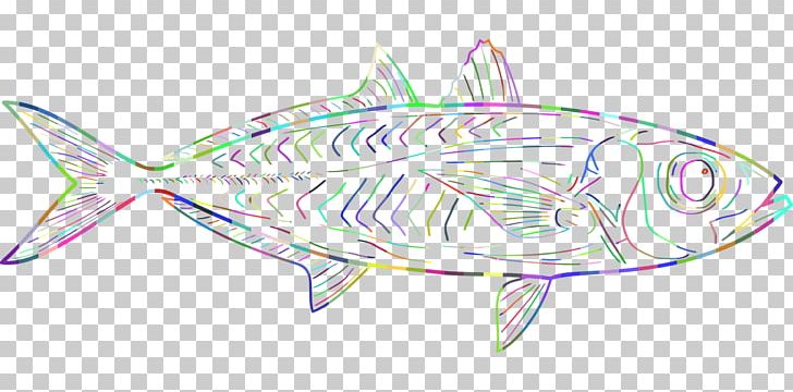 Marine Biology Illustration Drawing Marine Mammal PNG, Clipart, Artwork, Biology, Bony Fish, Bony Fishes, Drawing Free PNG Download