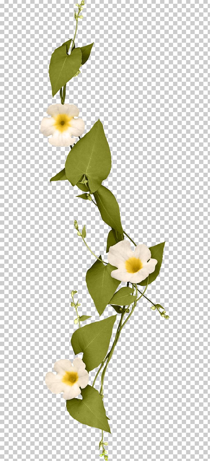 Marriage Hera Floral Design Engagement Wedding PNG, Clipart, Blanco, Branch, Bride, Competence, Deco Free PNG Download