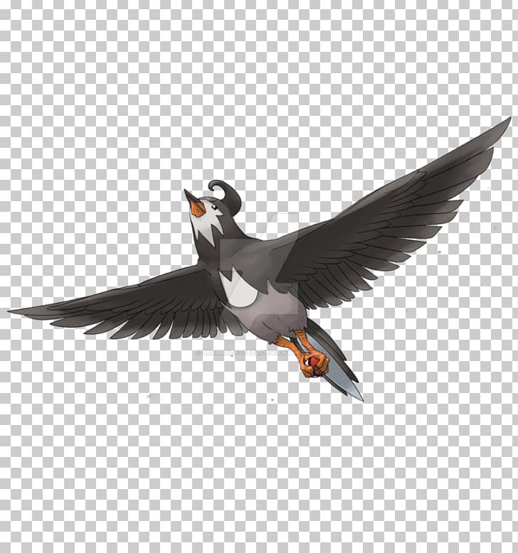 Puffin Browser Fauna Beak Feather PNG, Clipart, Beak, Bird, Charadriiformes, Fauna, Feather Free PNG Download