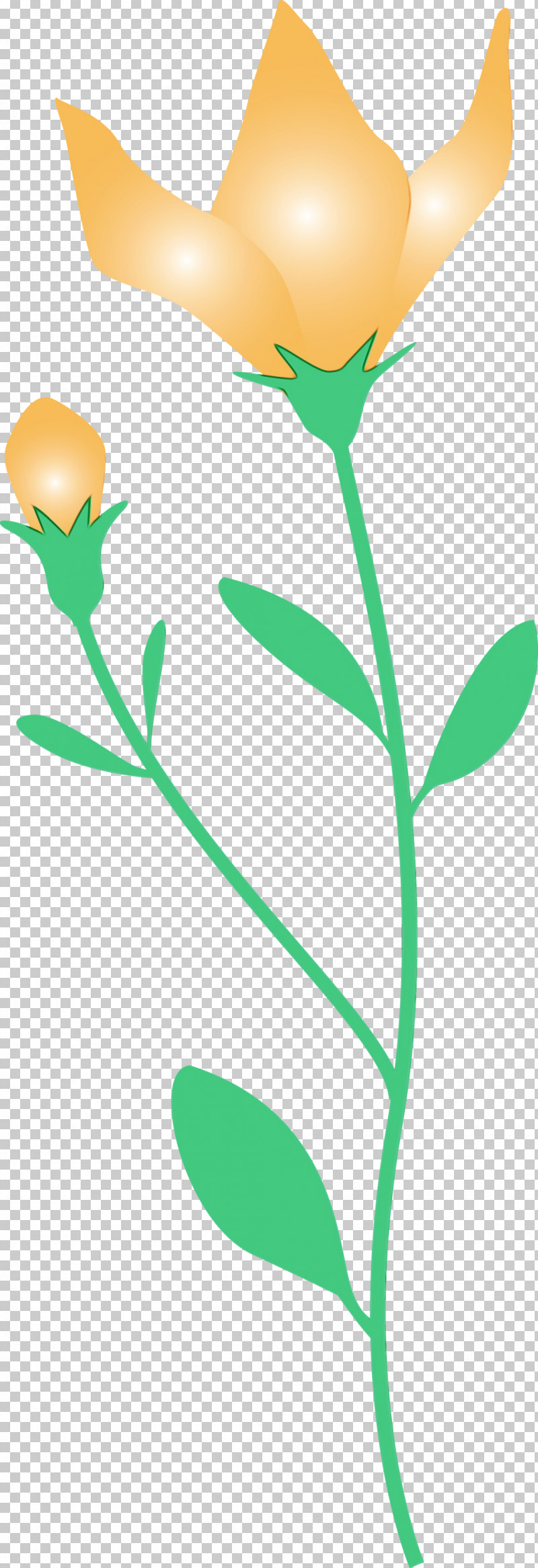 Flower Plant Stem Petal Leaf Flora PNG, Clipart, Balloon Flower, Flora, Flower, Leaf, Line Free PNG Download