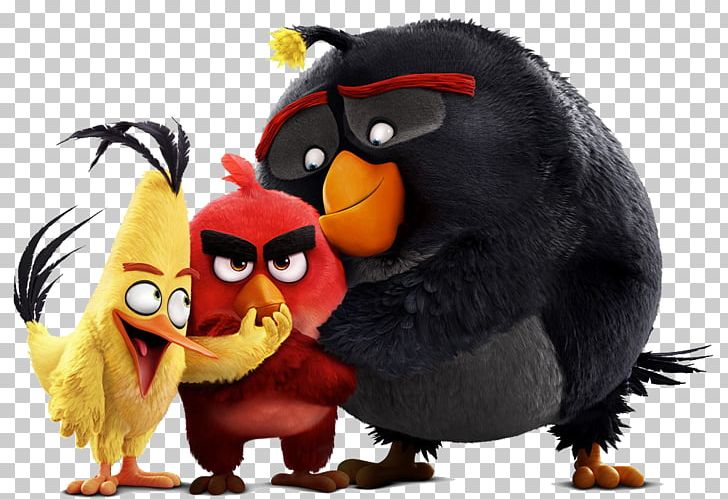 Angry Birds POP! Animated Film Mural PNG, Clipart, 8k Resolution, Angry Birds Movie, Angry Birds Pop, Angry Birds Toons, Animated Film Free PNG Download