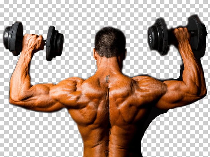 Bodybuilding Supplement Physical Fitness Exercise Fitness Centre PNG, Clipart, Abdomen, Arm, Biceps Curl, Bodybuilder, Bodybuilding Free PNG Download