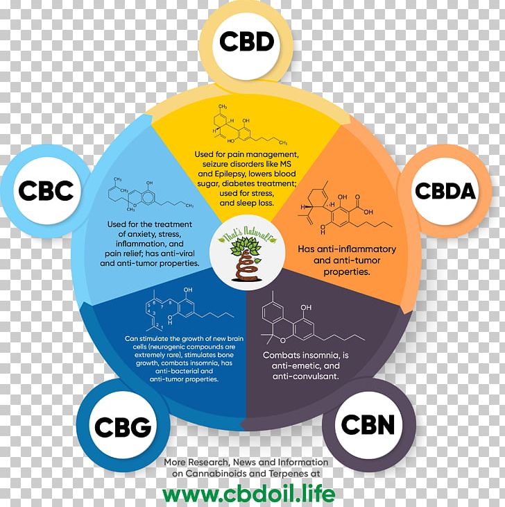 Cannabidiol Cannabinoid Cannabis Entourage Effect Tetrahydrocannabinol PNG, Clipart, Brand, Cannabichromene, Cannabidiol, Cannabigerol, Cannabinoid Free PNG Download