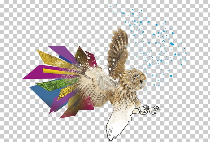 Eagle Owl Insect Pollinator Beak PNG, Clipart, Animals, Beak, Bird, Bird Of Prey, Eagle Free PNG Download