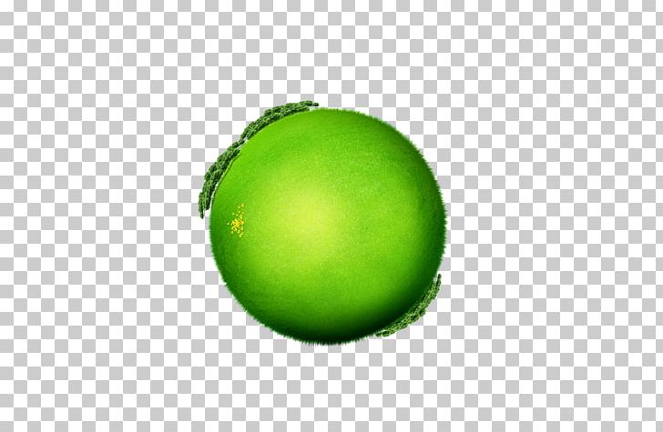 Lime Sphere Ball PNG, Clipart, Background Green, Ball, Circle, Citrus, Computer Free PNG Download