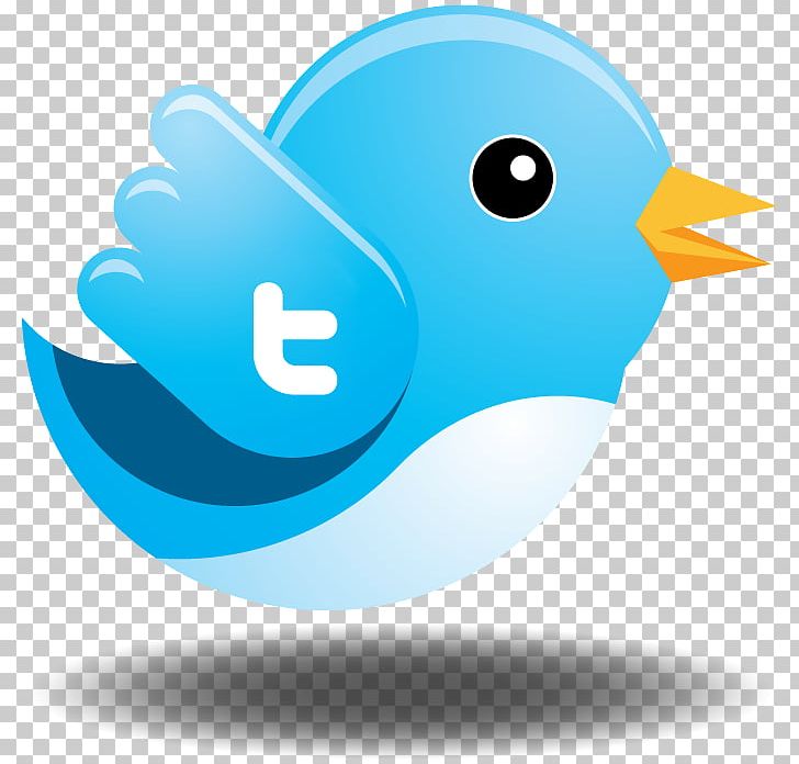 Logo Twitter Jingle PNG, Clipart, Anthony Noto, Beak, Bird, Blue, Brand Free PNG Download