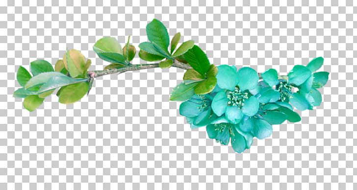 Turquoise Blue Red Color PNG, Clipart, Blue, Branch, Color, Encapsulated Postscript, Flower Free PNG Download