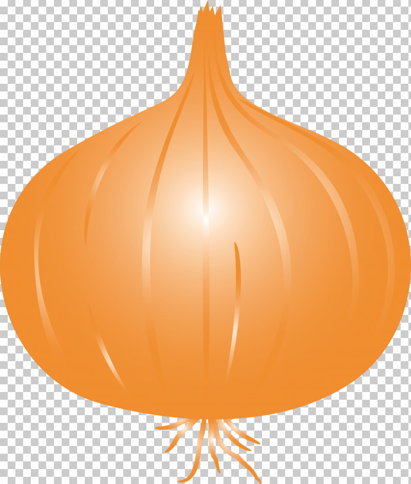 Onion PNG, Clipart, Fruit, Onion, Pumpkin Free PNG Download