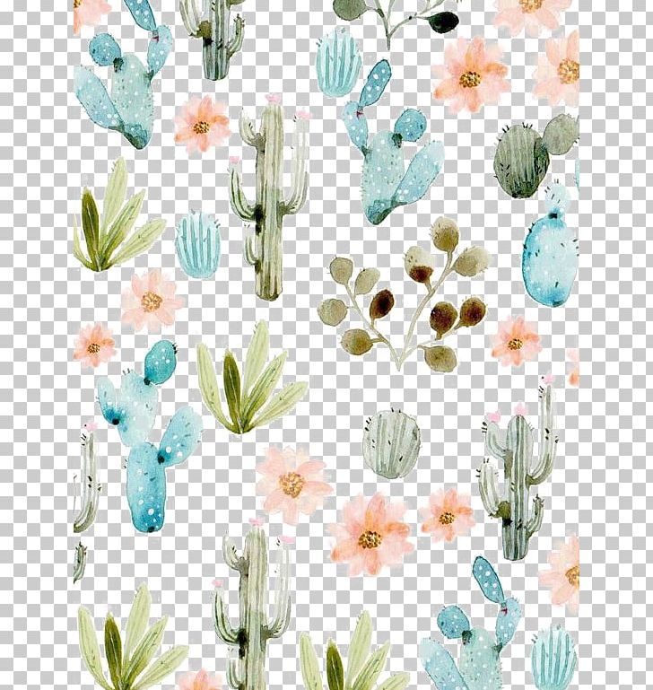 Cactaceae Succulent Plant PNG, Clipart, Aqua, Cactus, Cactus Vector, Cartoon, Color Free PNG Download