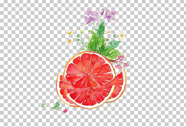 Grapefruit Juice Pomelo Watercolor Painting PNG, Clipart, Citrus Xd7 Sinensis, Food, Fruit, Fruit Nut, Grapefruit Free PNG Download