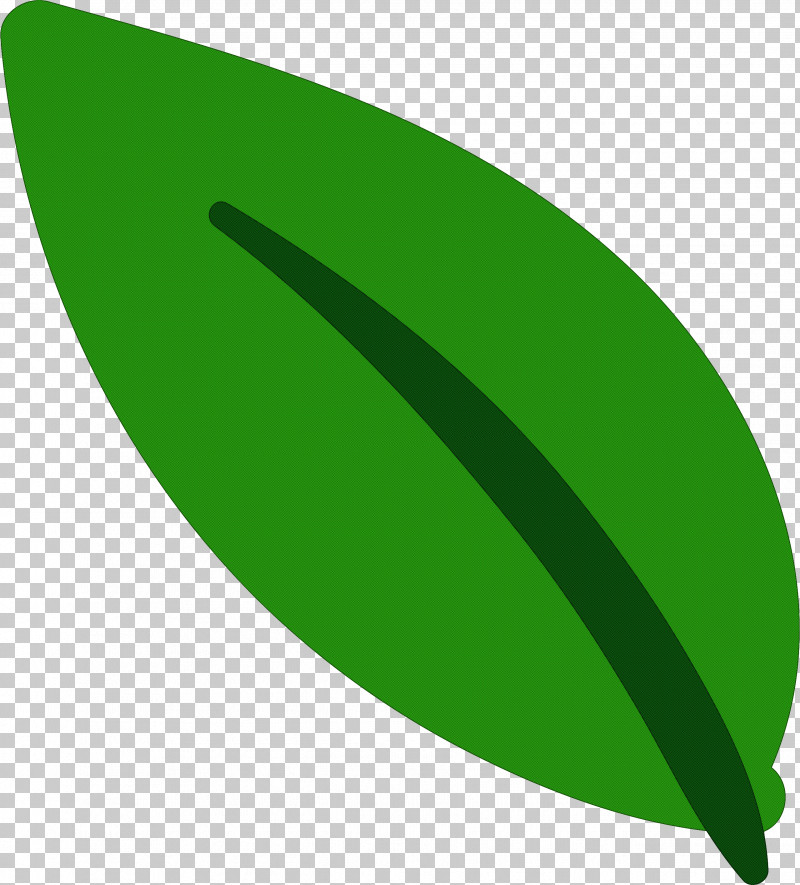 Leaf PNG, Clipart, Angle, Biology, Green, Leaf, Line Free PNG Download
