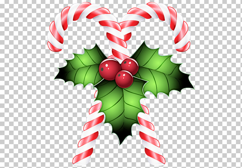 Holly PNG, Clipart, Berry, Christmas, Flower, Holly, Leaf Free PNG Download
