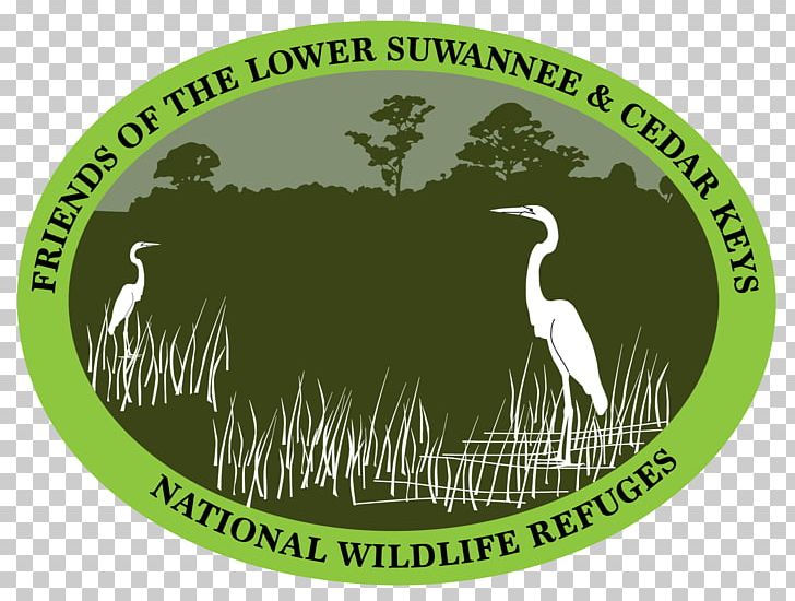 Lower Suwannee National Wildlife Refuge Cedar Keys National Wildlife Refuge Suwannee River Suwannee PNG, Clipart, Big Bend, Brand, Fauna, Fishing, Grass Free PNG Download