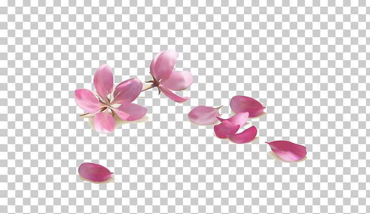 Pink Flowers Stock Photography PNG, Clipart, Blossom, Encapsulated Postscript, Flower, Flowers, Fotosearch Free PNG Download