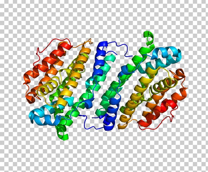 RRM2B Ribonucleotide Reductase Ribonucleoside Gene PNG, Clipart, 2 B, Adenosine Triphosphate, Art, Ataxiatelangiectasia, Bead Free PNG Download