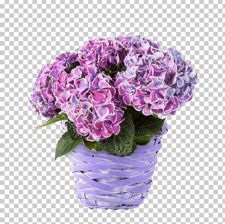 Hydrangea Cut Flowers Blumenversand Blume2000.de Flower Bouquet PNG, Clipart, Artificial Flower, Blume, Blume2000de, Blumenversand, Cornales Free PNG Download