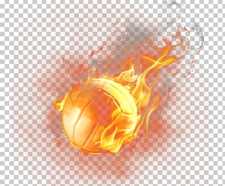 Basketball player LeBron in the fire Desktop wallpapers 640x480