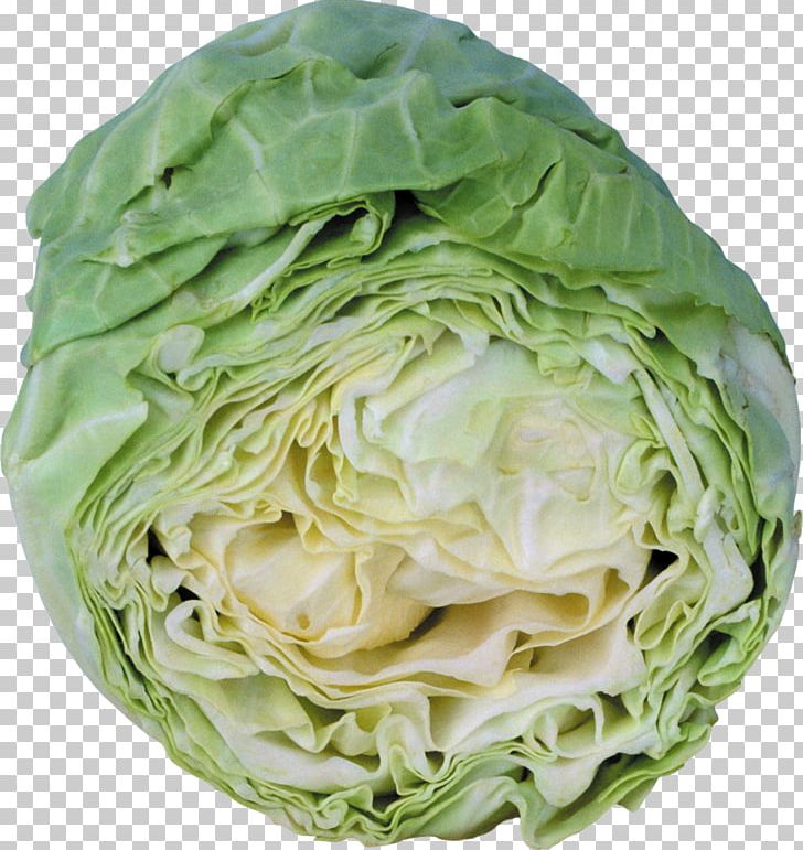 Romaine Lettuce Savoy Cabbage Cruciferous Vegetables Collard Greens Spring Greens PNG, Clipart, Asparagus, Brassica Oleracea, Cabbage, Capitata Group, Cauliflower Free PNG Download