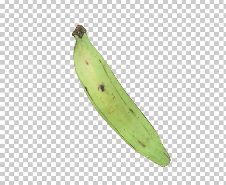 Saba Banana Cooking Banana Vegetable PNG, Clipart, Banana, Banana Family, Cooking, Cooking Banana, Cooking Plantain Free PNG Download