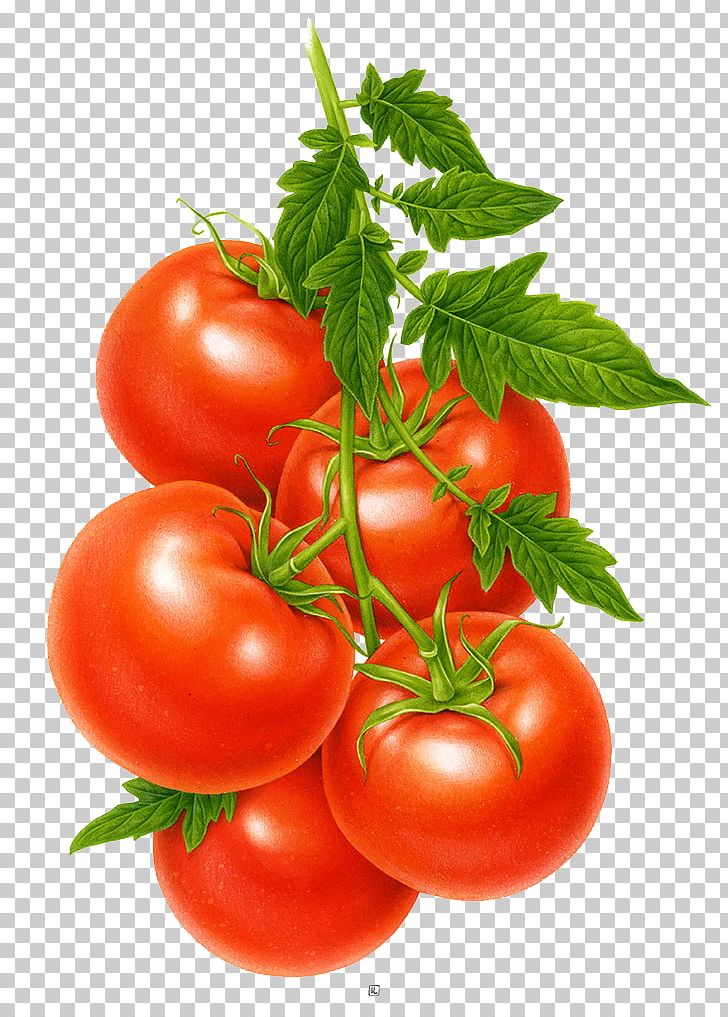 Tomato Juice Cherry Tomato Fruit Vegetable PNG, Clipart, Bunch, Bush Tomato, Diet Food, Fig, Flower Bunch Free PNG Download