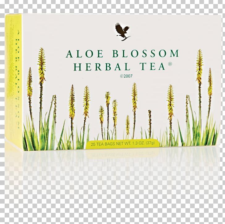 Herbal Tea Forever Living Products Aloe Vera PNG, Clipart, Aloe Leaf, Aloe Vera, Brand, Caffeinated Drink, Commodity Free PNG Download