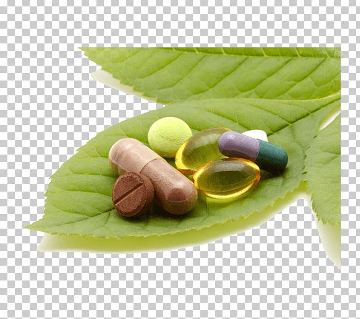 Orthomolecular Medicine Dietary Supplement Naturopathy Pharmacy PNG, Clipart, Commodity, Dietary Supplement, Health, Herbalism, Homeopathy Free PNG Download