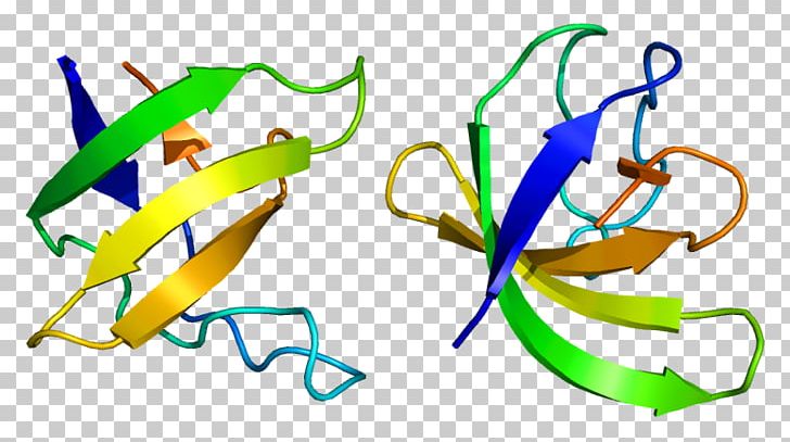 Protein SRGAP3 Wikimedia Commons Human Free Content PNG, Clipart, Area, Artwork, Copyright, Creative Commons, Dielo Free PNG Download