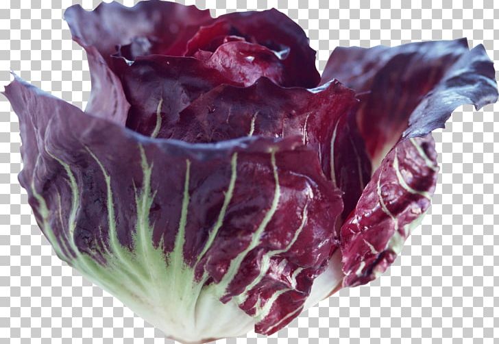 Red Cabbage Vegetable Food PNG, Clipart, Artichoke, Brassica Oleracea, Cabbage, Celery, Chard Free PNG Download