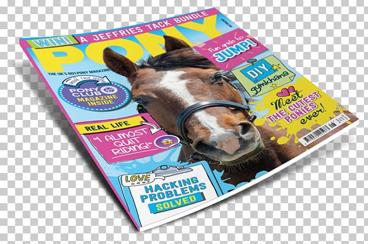 PONY Magazine Equestrian Canadian Horse PNG, Clipart, Advertising, Canada, Canadian Horse, Equestrian, Gift Free PNG Download