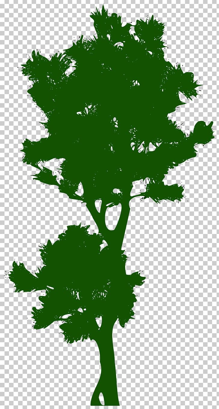 Tree Public Domain PNG, Clipart, 300 Dpi, Birch, Branch, Christmas Tree, Drawing Free PNG Download