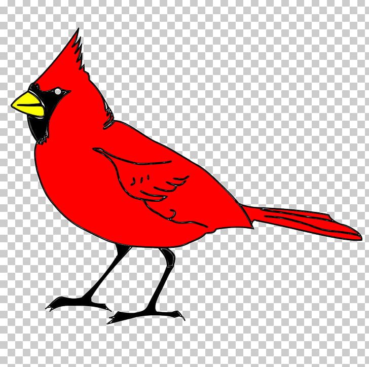 Bird Northern Cardinal PNG, Clipart, Animals, Art, Artwork, Beak, Bird Free PNG Download