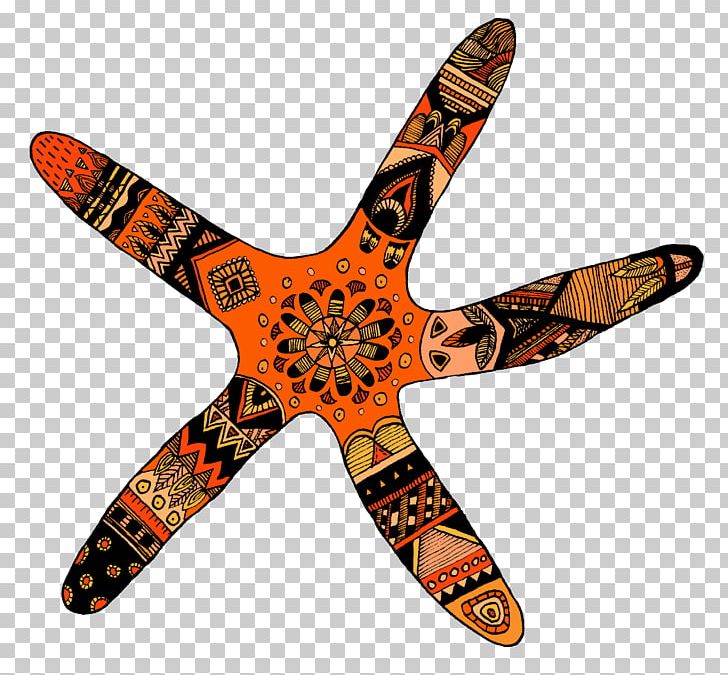 Starfish Food Airplane PNG, Clipart, Aircraft, Airplane, Animals, Color, Echinoderm Free PNG Download