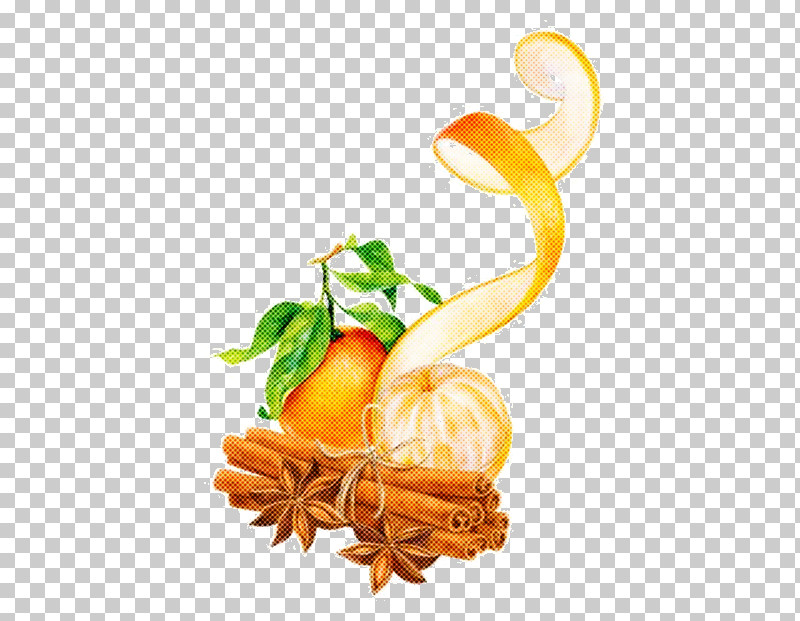 Tangerine Food Plant Natural Foods Citrus PNG, Clipart, Citrus, Drink, Food, Fruit, Garnish Free PNG Download