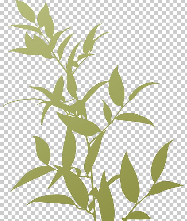 Plants Trivia Silhouette PNG, Clipart, Adobe Illustrator, Android, Animals, Branch, Button Free PNG Download