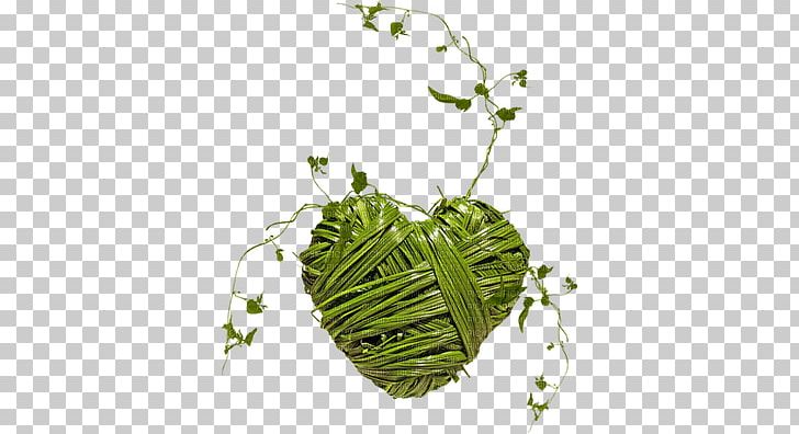 Leaf Vegetable Leaf Others PNG, Clipart, Clip Art, Deco, Document, Download, Encapsulated Postscript Free PNG Download