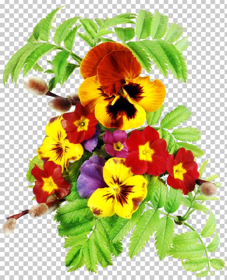 Pansy Viola Portable Network Graphics Flower PNG, Clipart, Annual Plant, Cut Flowers, Encapsulated Postscript, Floral Design, Flower Free PNG Download